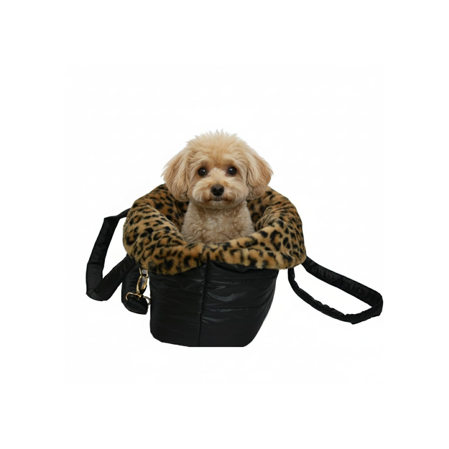 Borsa Cuccia Black per Cani Piccola Taglia | Dolce Zampa