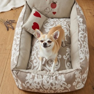 Cuccia Cotone 65x45 Cani Medi/Piccoli | Versatilità