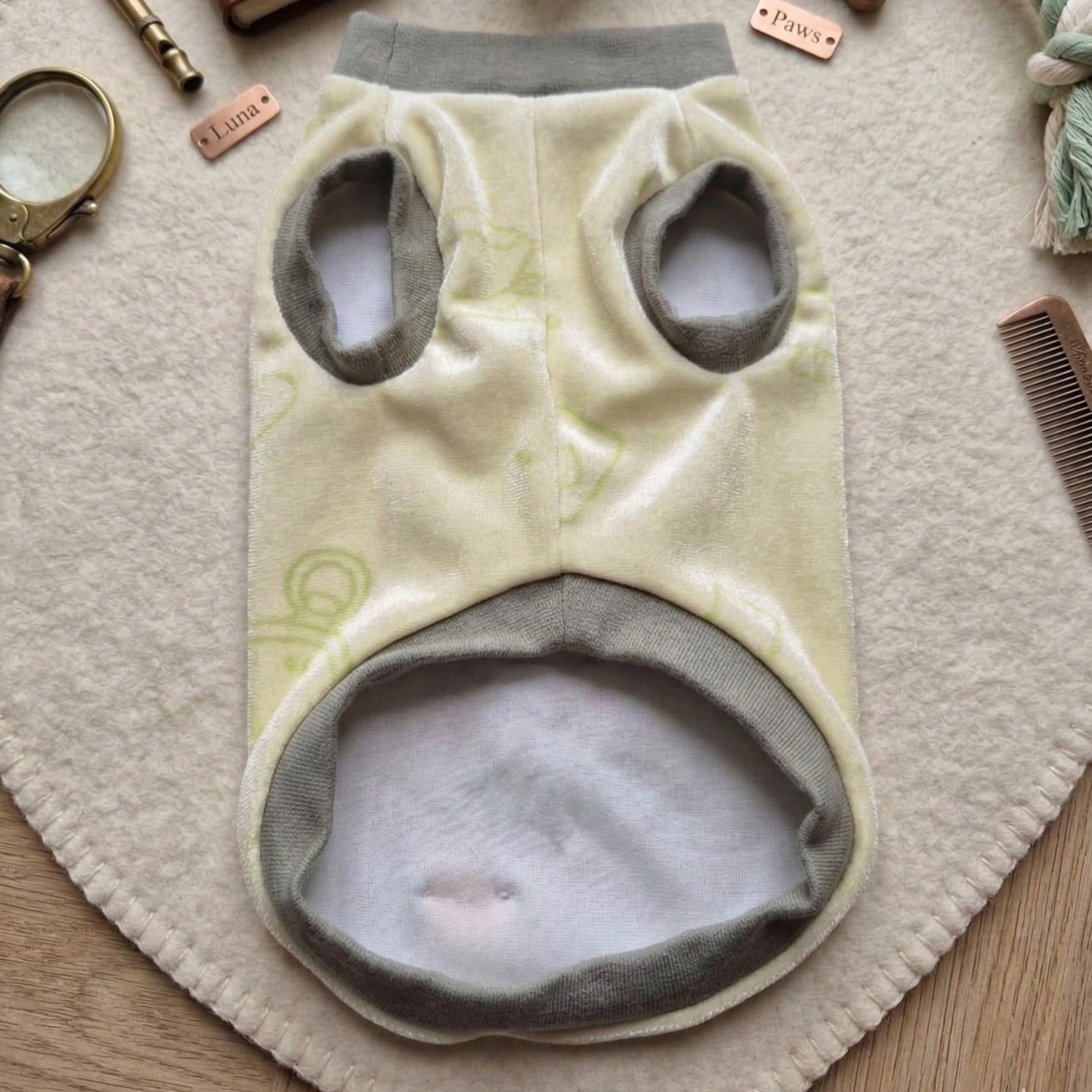 White Rabbit Greenish Sweatshirt Cane | Ciniglia Pizzo