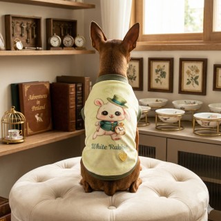 White Rabbit Greenish Sweatshirt Cane | Ciniglia Pizzo