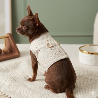Pettorina Lino Ricamata Cane | Traspirante Velcro Anelli Dorati