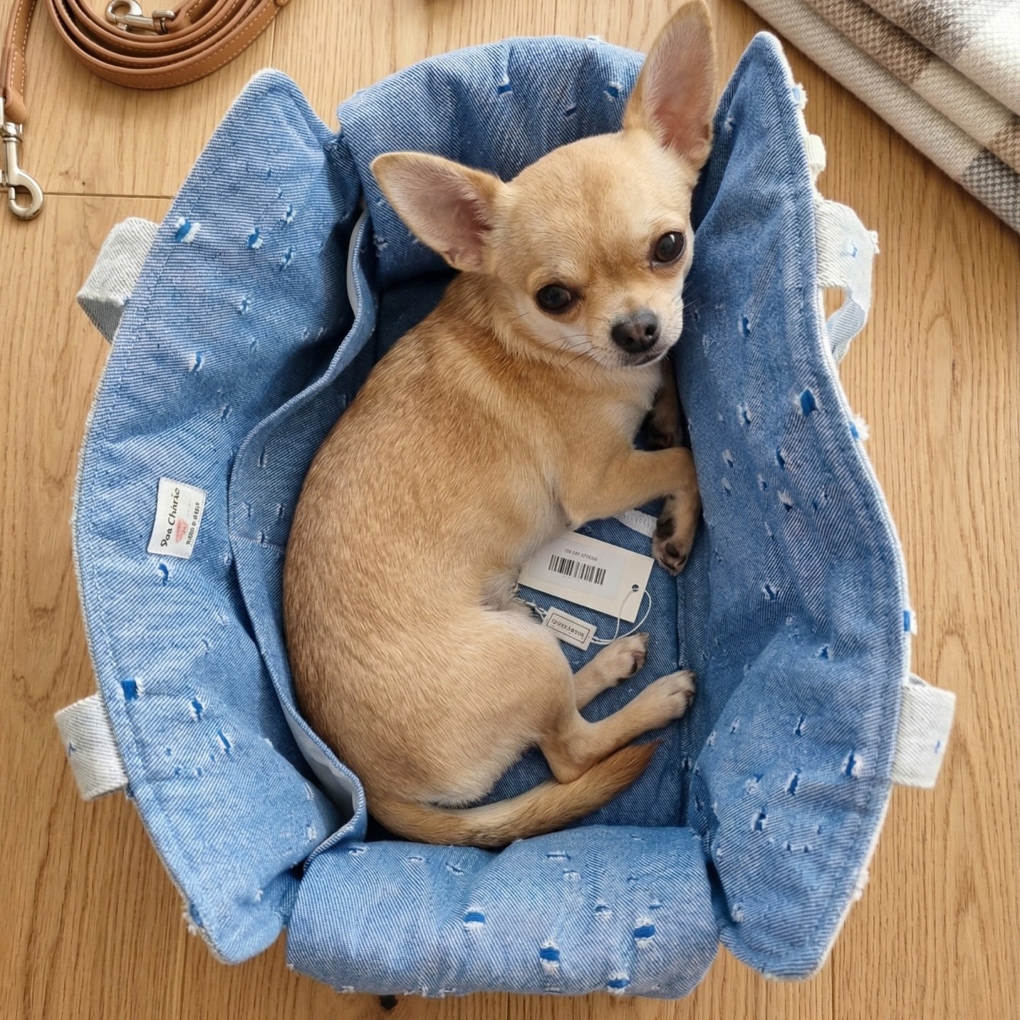 Denim Blue Tote Bag Cane | Trasporto Sicura Cuscino Gancio