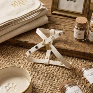 Pettorina per cani Multi Strass Artic Wolf Cane | Biothane Bling