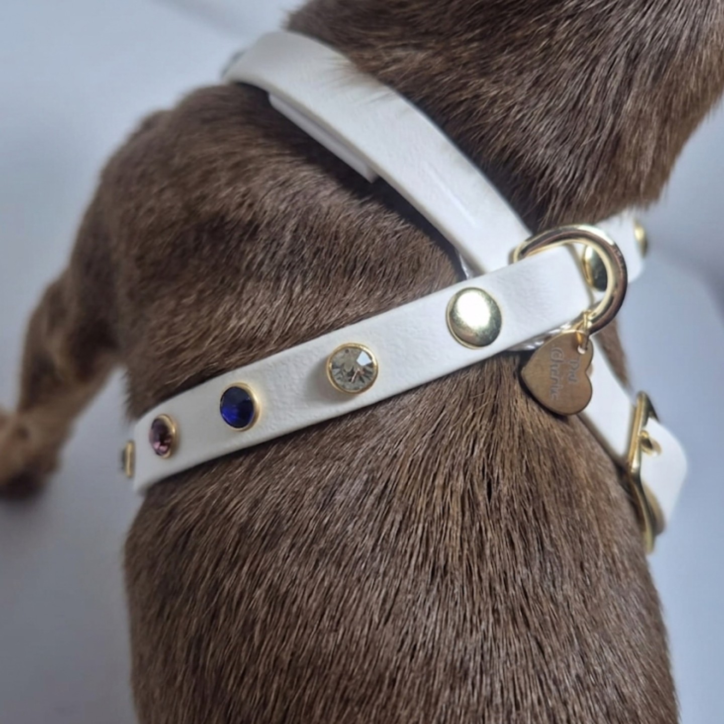 Pettorina per cani Multi Strass Artic Wolf Cane | Biothane Bling