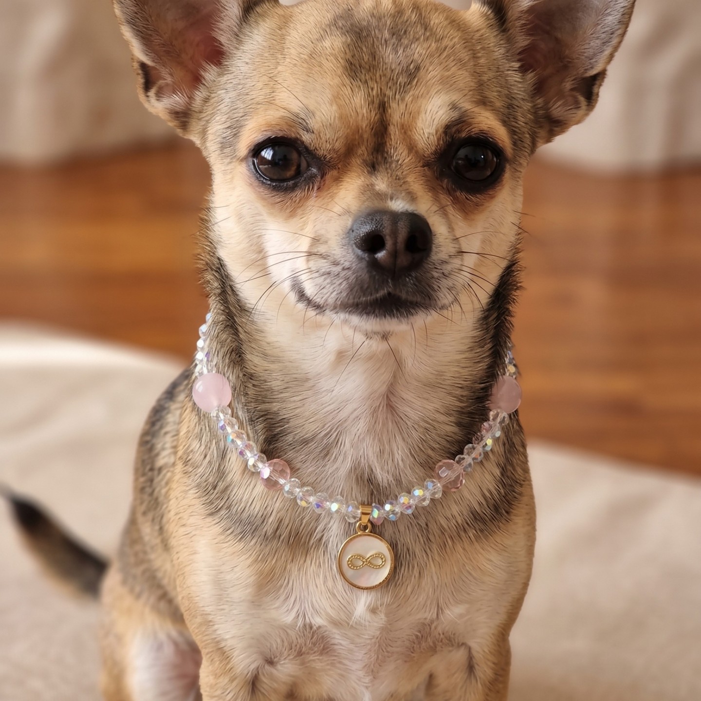 Tiffany Infinity: Collana Cane Luxury con Quarzo Rosa e Infinito | DocleZampa