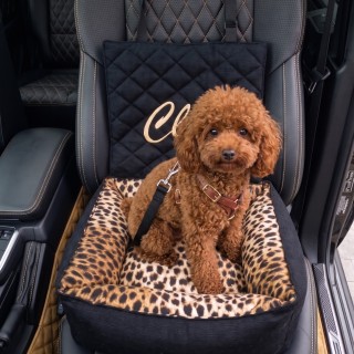 Seggiolino Auto per Cani Artigianale e Personalizzato | DolceZampa