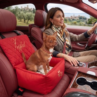 Seggiolino Auto per Cani Artigianale e Personalizzato | DolceZampa