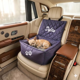 Seggiolino Auto per Cani Artigianale e Personalizzato | DolceZampa