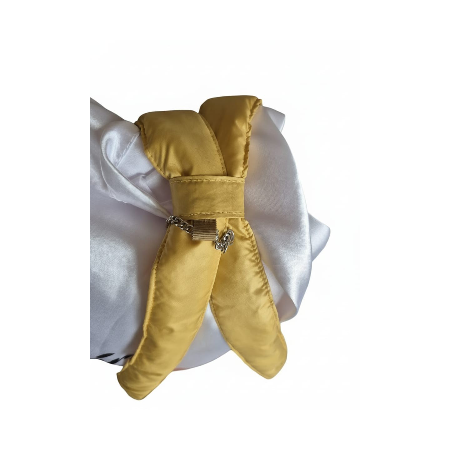 Mint Dream Tote Bag | Borsa Verde Menta per Cani di Piccola Taglia Pet Chérie