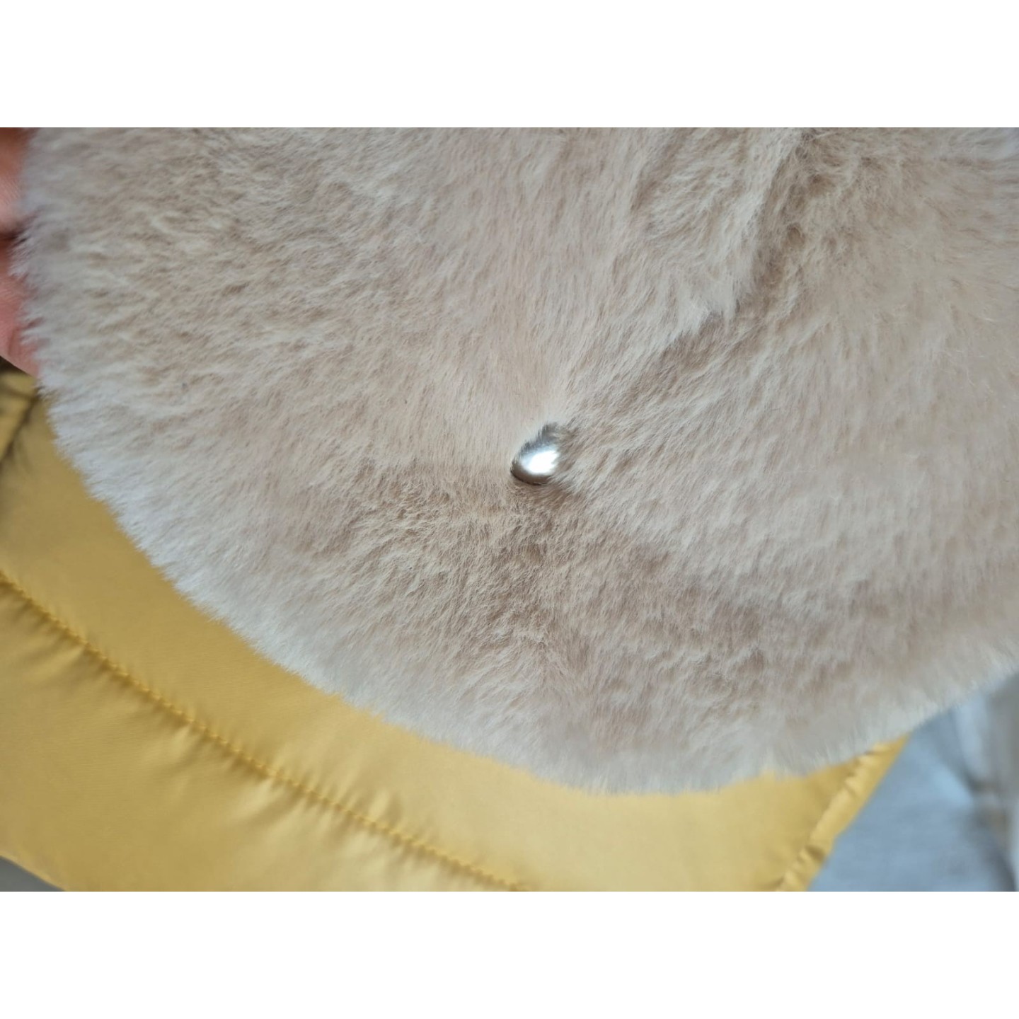 Borsa Trasportino Verde Menta per Cani | Dolce Zampa