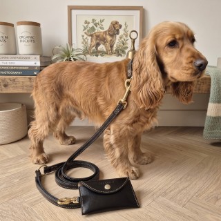 Set Collare e Guinzaglio Pelle per Cani | Dolce Zampa
