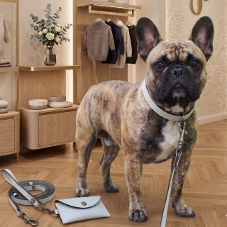 Set Collare e Guinzaglio Pelle per Cani | Dolce Zampa