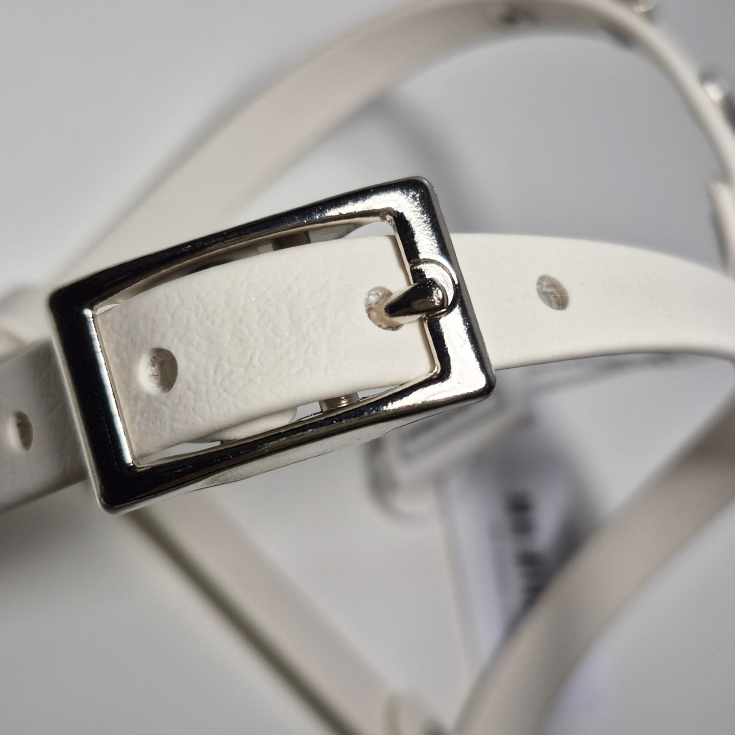 Pettorina Biothane Light Gold | Poodle Harness Made in Italy