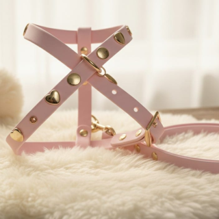 Pettorina Biothane Light Gold per Cani | Dolce Zampa