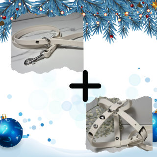 Kit Pettorina e Guinzaglio Biothane Cani | Dolce Zampa