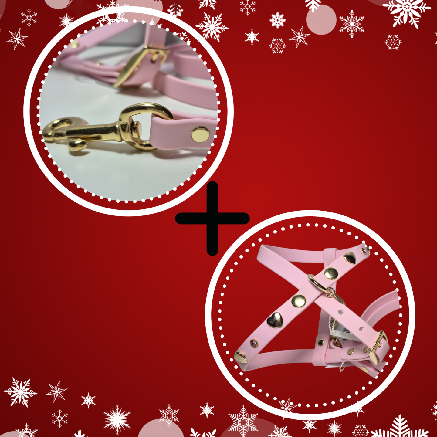 Kit Pettorina e Guinzaglio Biothane Cani | Dolce Zampa