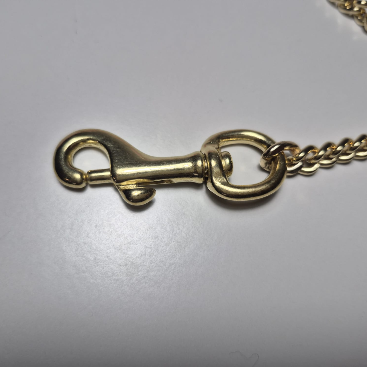 Guinzaglio Dorato e Arancio in Biothane® | Pet Chérie Made in Italy