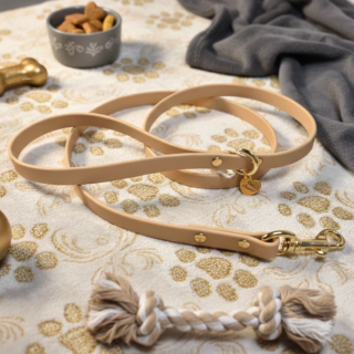 Guinzaglio Lead Gold Biothane per Cani | Dolce Zampa
