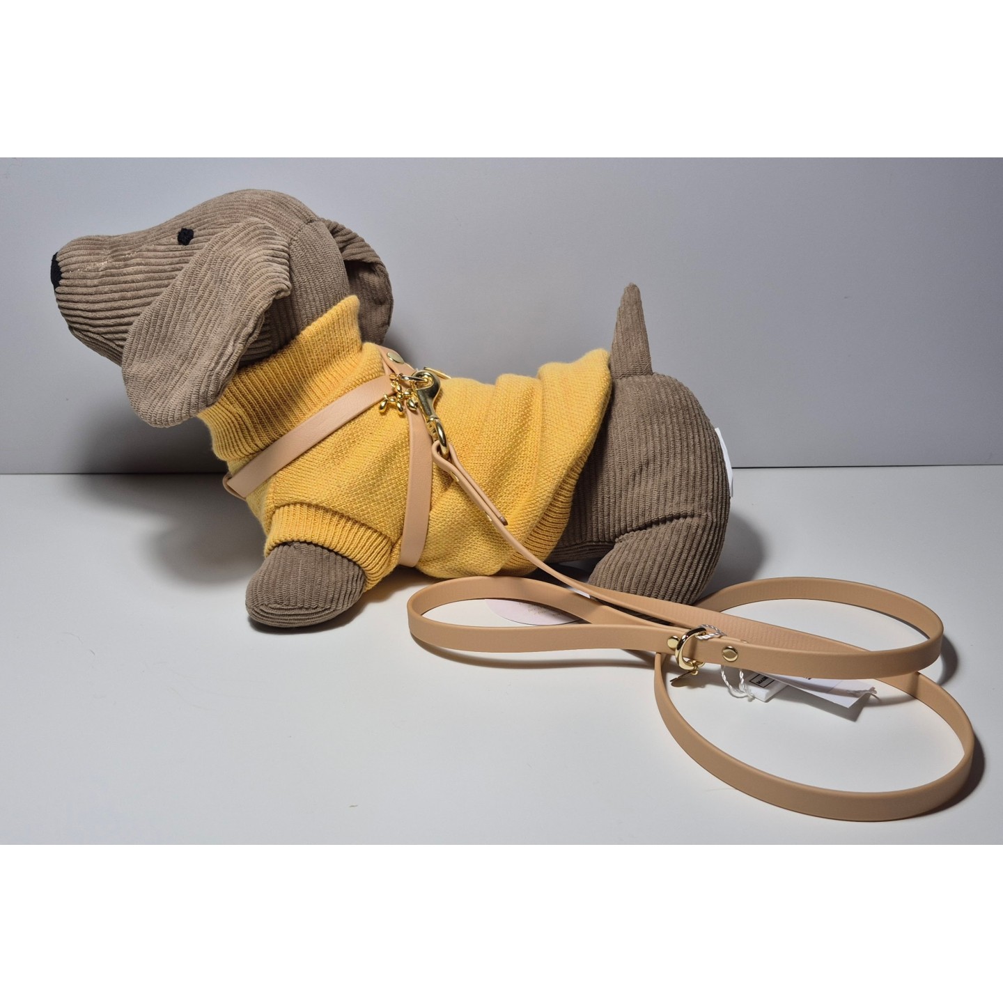 Guinzaglio Lead Gold Biothane per Cani | Dolce Zampa