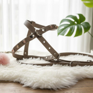 Pettorina Cabochon Biothane per Cani | Dolce Zampa