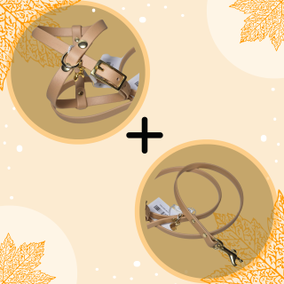 Accessori per Cani: Pacchetto Guinzaglio + Pettorina Biothane Gold