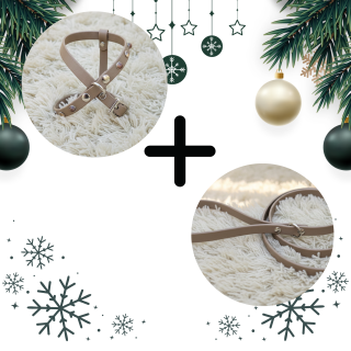 Kit Pettorina Cabochon e Guinzaglio Cani | Dolce Zampa