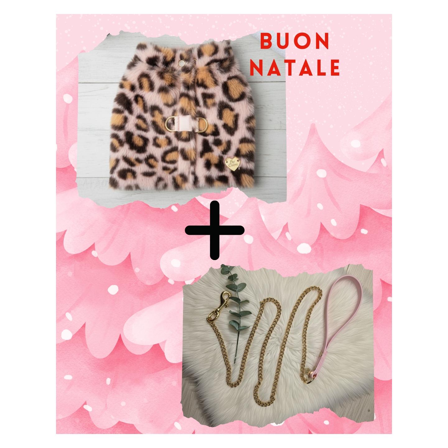 Set Pettorina Leopard e Guinzaglio Cani | Dolce Zampa