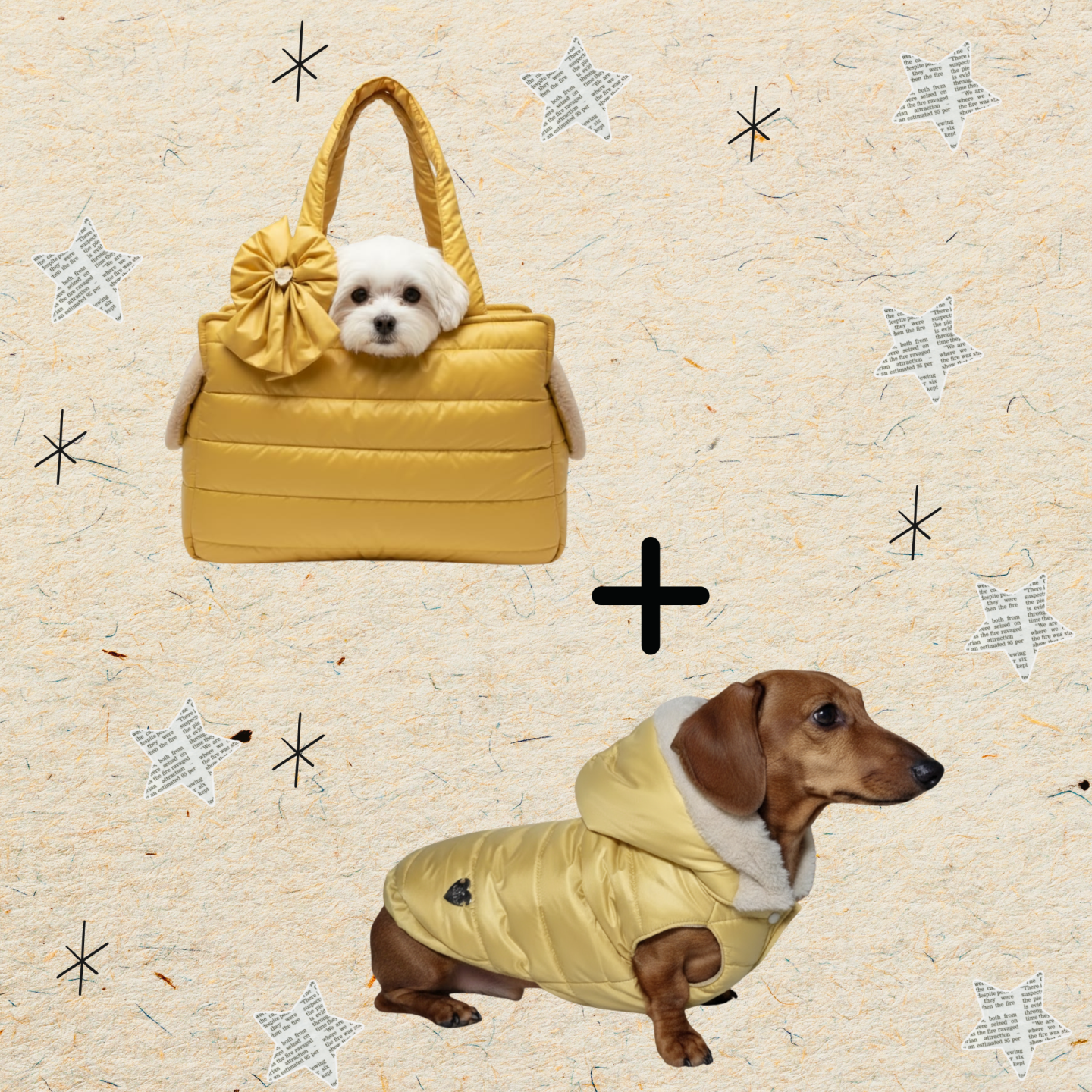 Pacchetto Winter Dream: Piumino e Borsa per Cani Coordinati