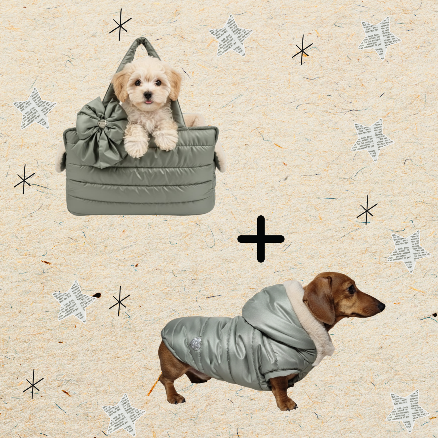 Pacchetto Winter Dream: Piumino e Borsa per Cani Coordinati