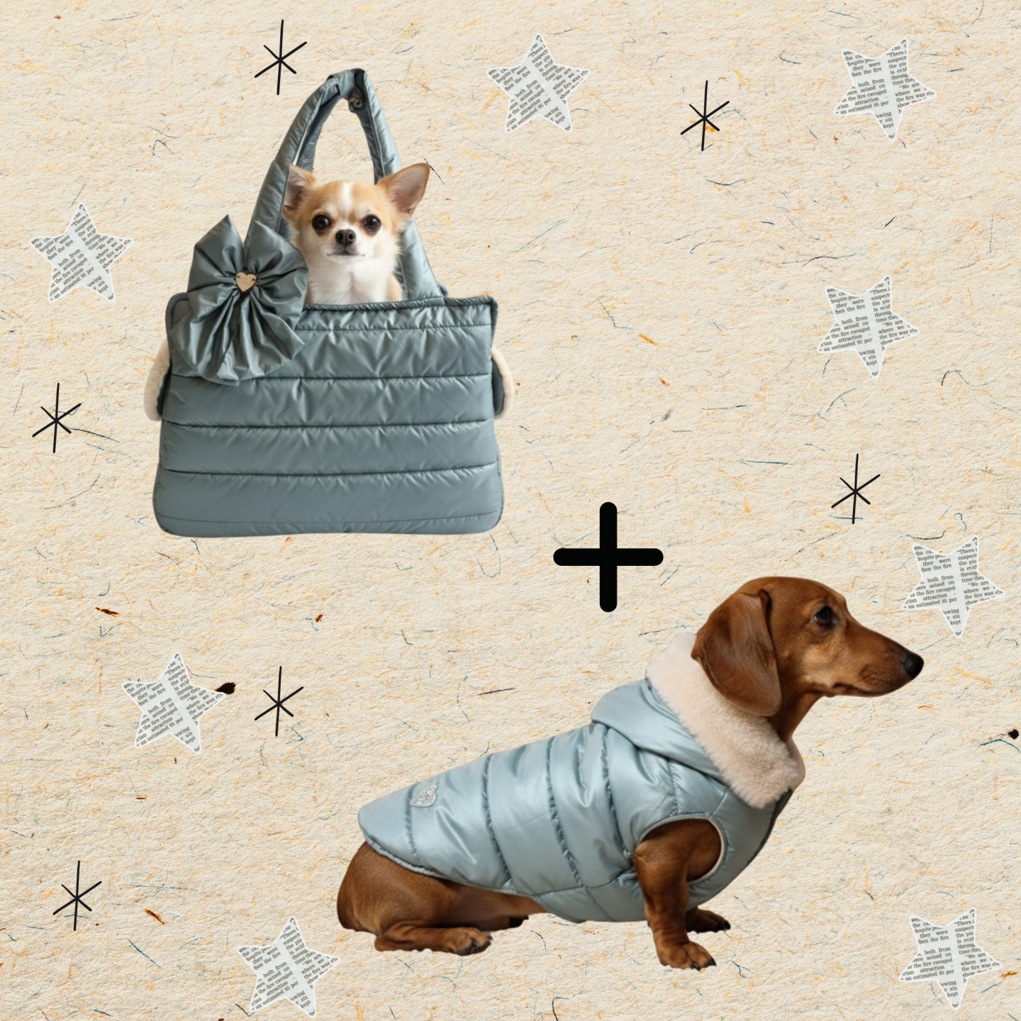 Pacchetto Winter Dream: Piumino e Borsa per Cani Coordinati