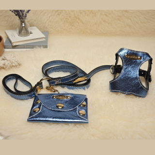 Set Guinzaglio, Pettorina e Porta Sacchetti in Pelle | Artigianale Made in Italy