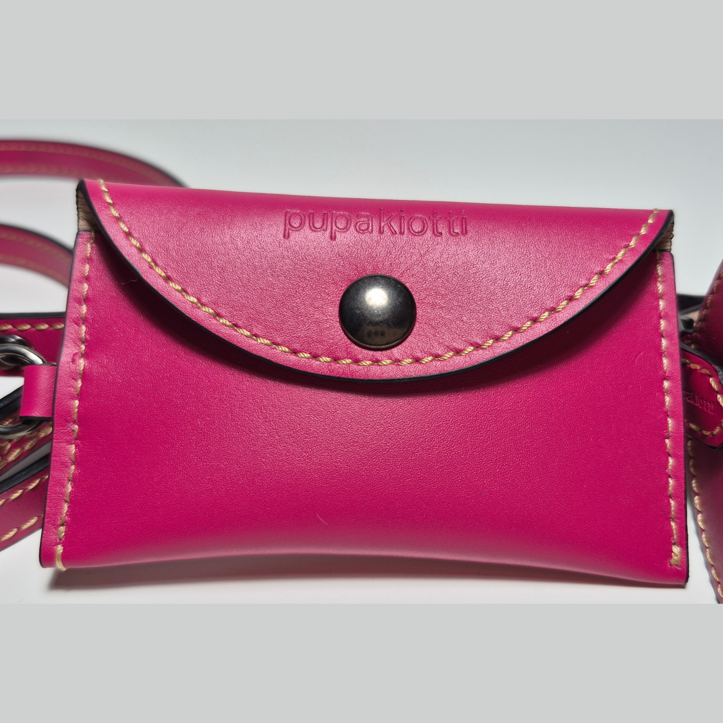 Set Pettorina e Guinzaglio in Pelle Cani | Dolce Zampa