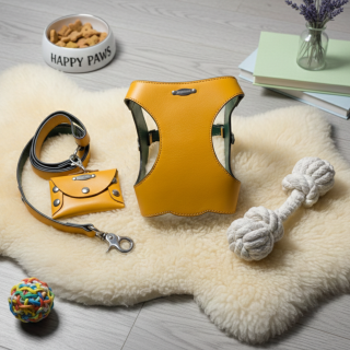 Set Guinzaglio, Pettorina e Porta Sacchetti in Pelle | Artigianale Made in Italy