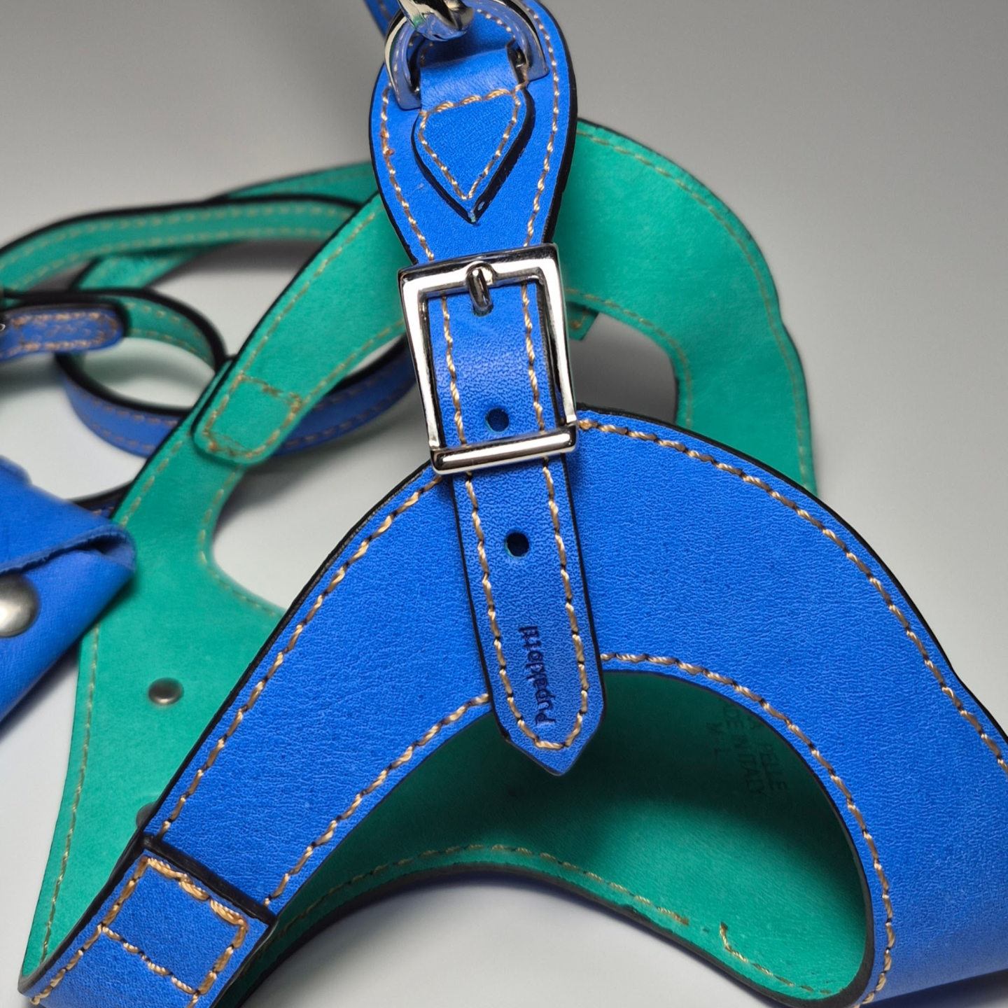 Set Guinzaglio, Pettorina e Porta Sacchetti in Pelle | Artigianale Made in Italy