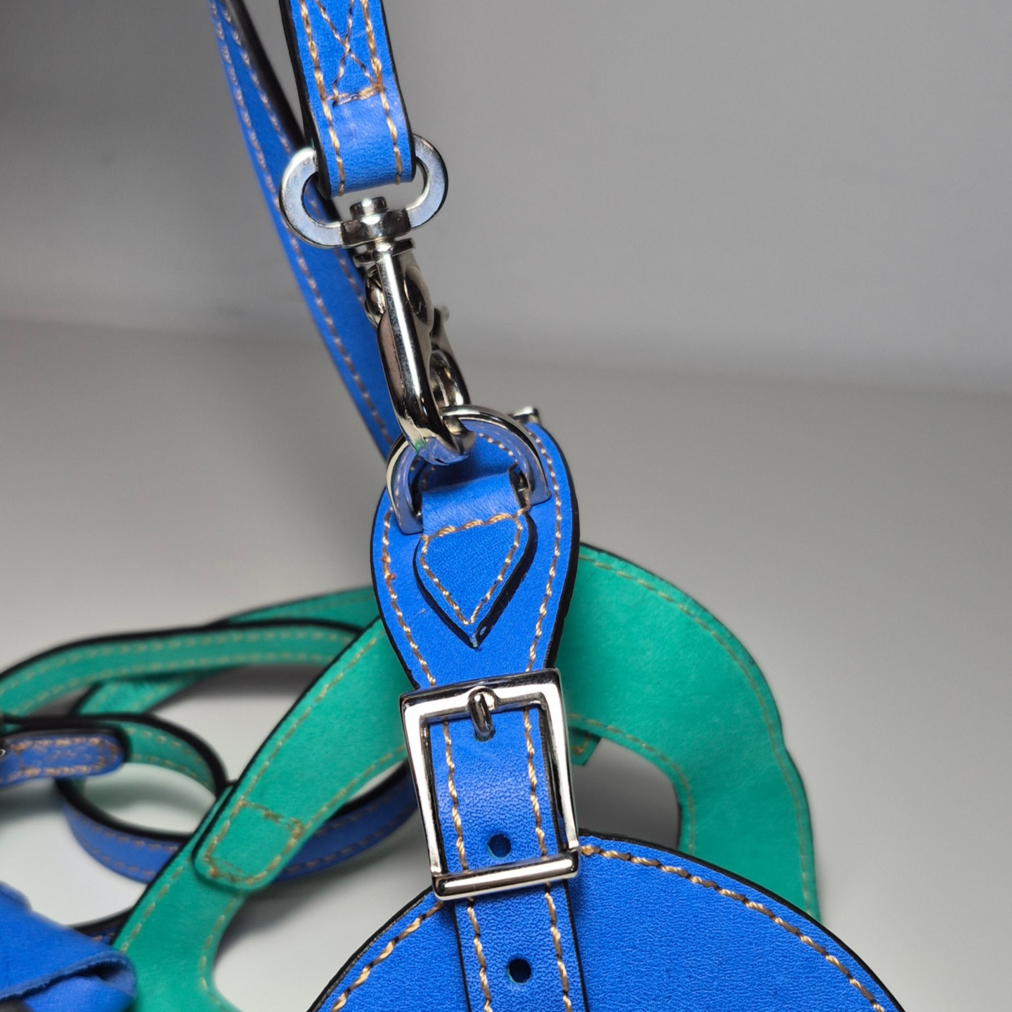 Set Guinzaglio, Pettorina e Porta Sacchetti in Pelle | Artigianale Made in Italy