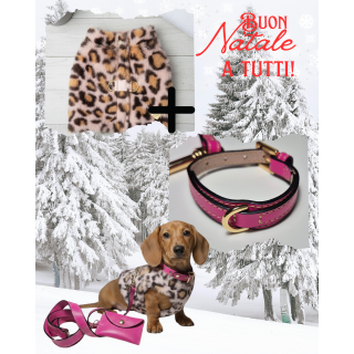 Pack Glamour Pettorina e Collare Pelle Cani | Dolce Zampa