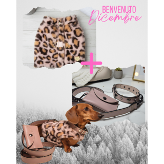 Set Completo Cane Leopard: Pettorina, Guinzaglio e Collare in Pelle | Pupakiotti