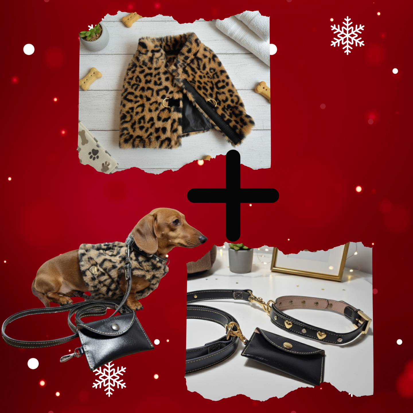 Set Completo Cane Leopard: Pettorina, Guinzaglio e Collare in Pelle | Pupakiotti