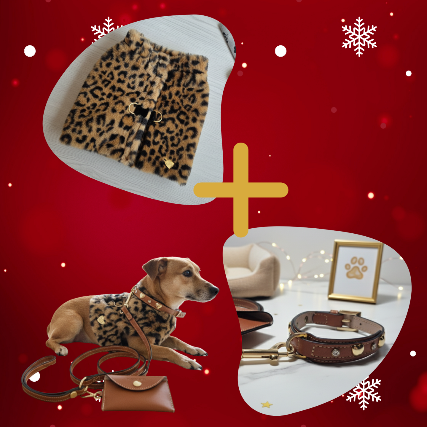 Set Completo Cane Leopard: Pettorina, Guinzaglio e Collare in Pelle | Pupakiotti