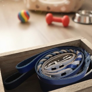 Guinzaglio Cuoio Toscano Intrecciato Cani | Dolce Zampa