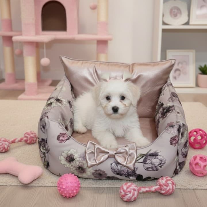 Cuccia Miss Rosa per Cani di Piccola Taglia