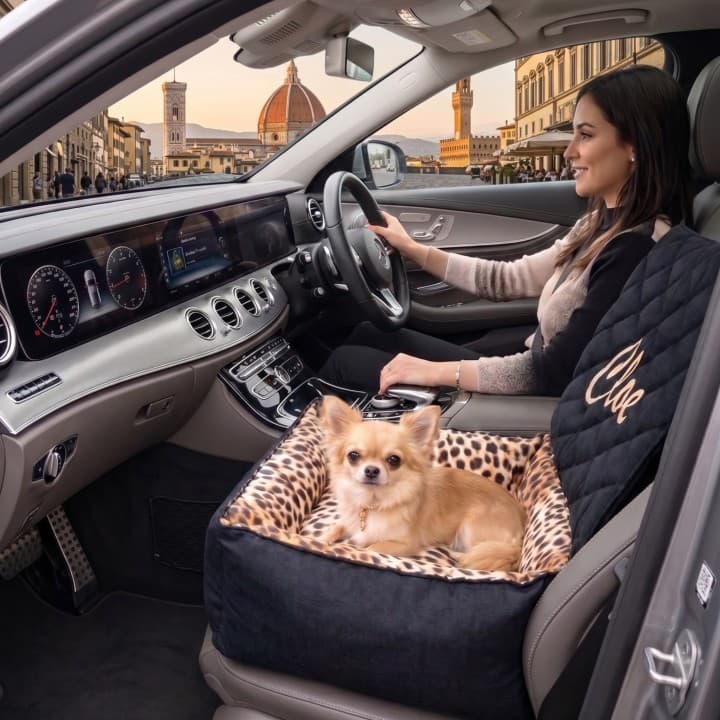Seggiolino Auto per Cani