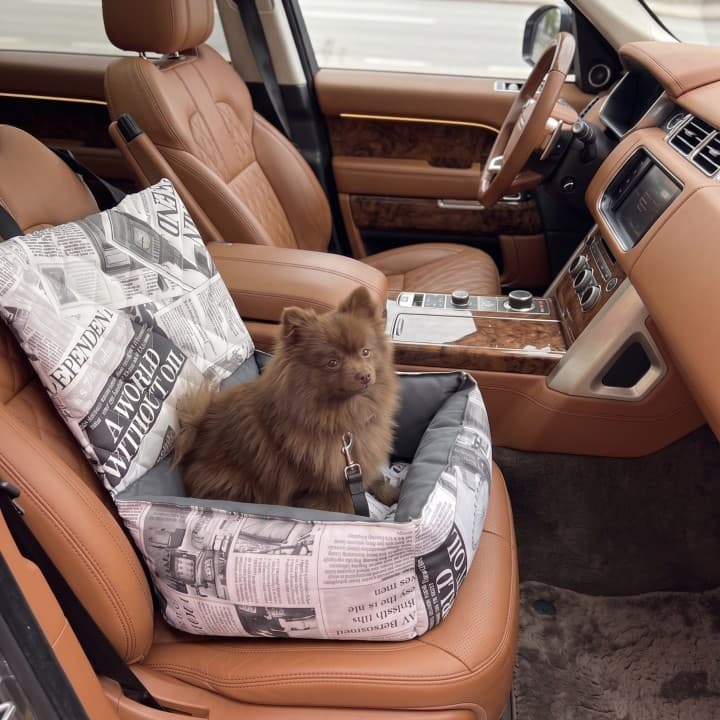 Seggiolino Auto per Cani