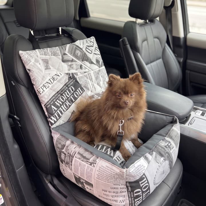 Seggiolino Auto per Cani