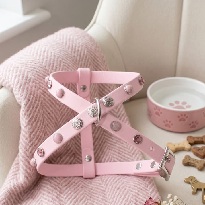 Pettorine Shine & Stone Pink/Blu Harness