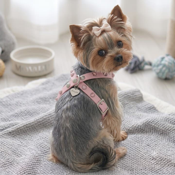Pettorine Shine & Stone Pink/Blu Harness