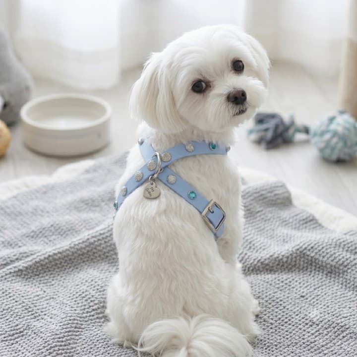 Pettorine Shine & Stone Pink/Blu Harness