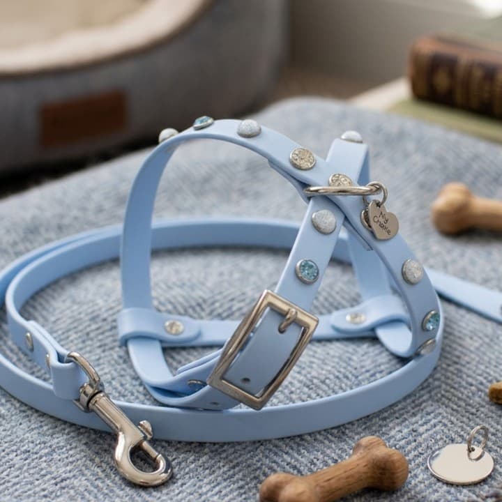 Pettorine Shine & Stone Pink/Blu Harness