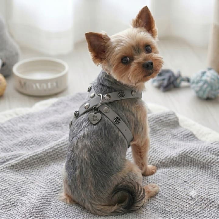 Pettorina Artigianale Rose Harness – In Biothane®
