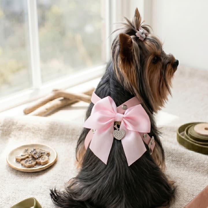 Pettorina Artigianale Fiocco Pink Harness